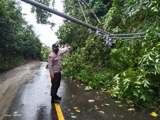 petugas-saat-membersihkan-pohon-tumbang-dan-dua-unit-tiang-listrik-di-desa-jati.jpg