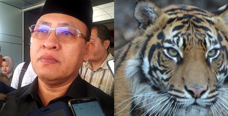 plt-bupati-muaraenim-juarsah-yang-minta-bksda-dan-polhut-tangkap-harimau-hidup-atau-mati.jpg