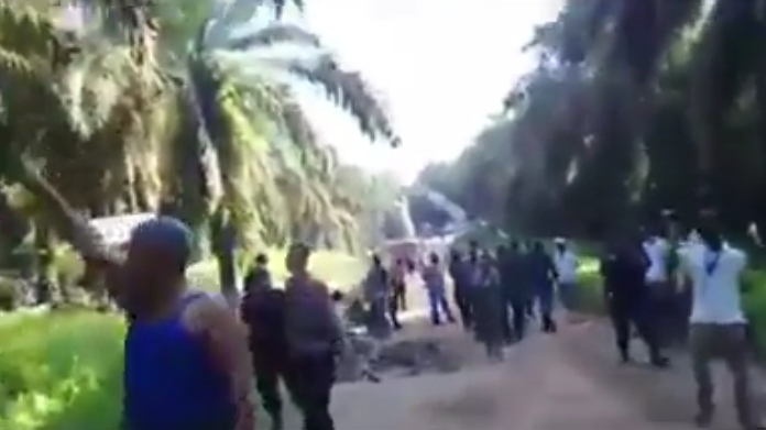 potongan-video-keributan-di-sebuah-area-perkebunan-sawit-viral-di-media-sosial-facebook12.jpg