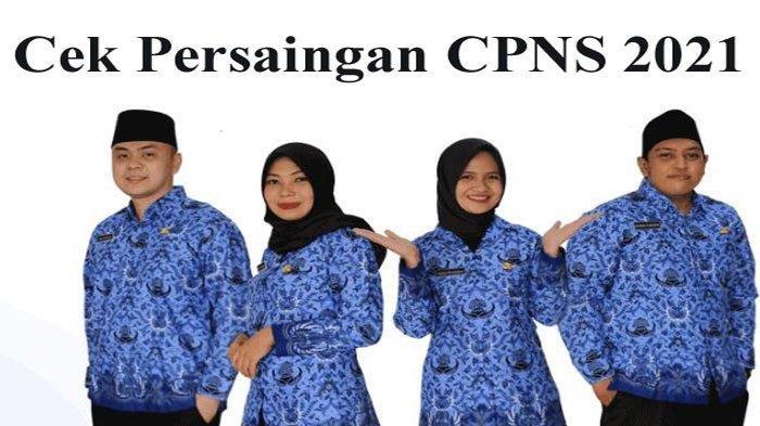 resmi-ditutup-pemprov-sumsel-paling-banyak-dari-jumlah-pelamar-cpns-dan-pppk-2021.jpg