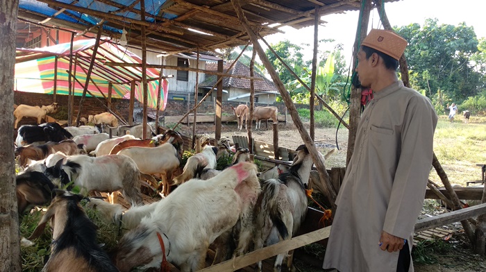 riansyah-30-penjual-hewan-kurban-dibilangan-kelurahan-handayani-mulya1234.jpg