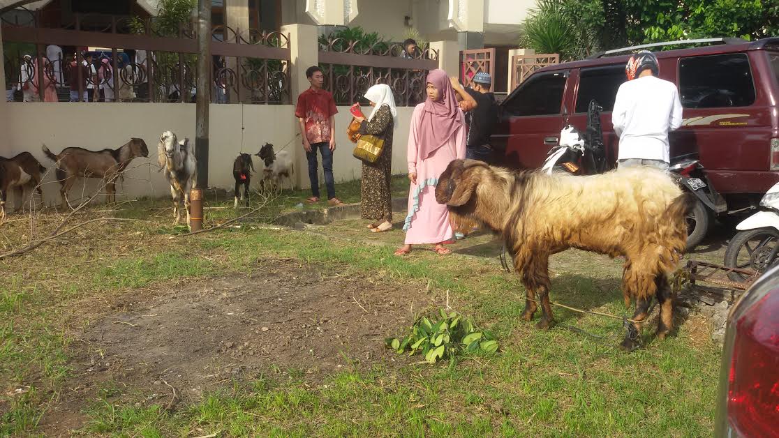 sejumlah-hewan-kurban-yang-telah-dititipkan-oleh-warga-untuk_20160912_085810.jpg