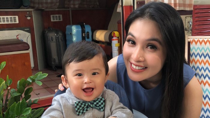 Tajir Melintir, Sandra Dewi Punya Pengasuh Sebanyak Ini Untuk Menyuapi Sang Anak, Raphael Moeis