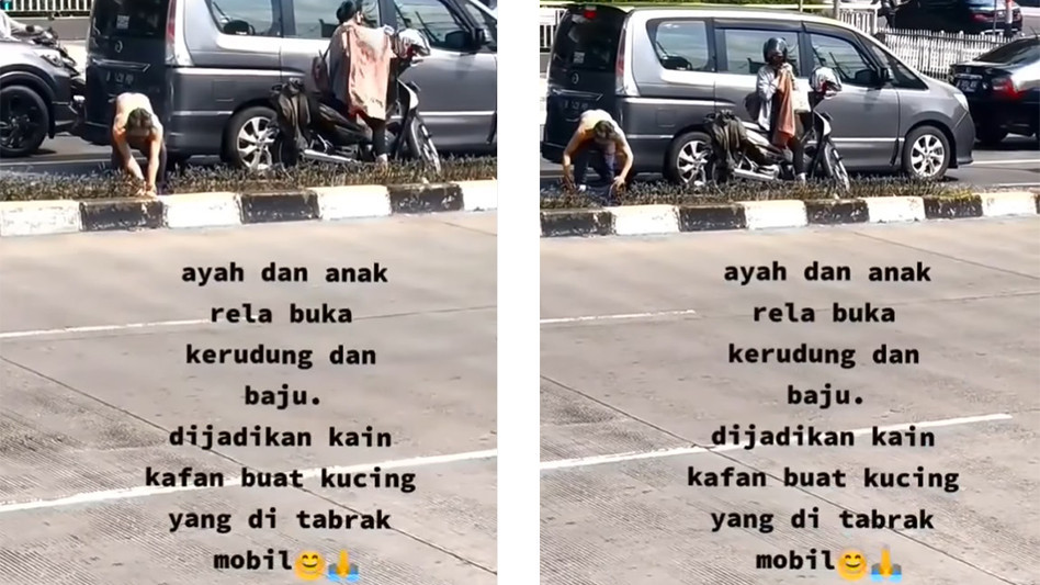 Viral Liat Kucing Tertabrak, Ayah Buka Baju dan Anak Lepas Kerudung Demi Jadikan Kain Kafan