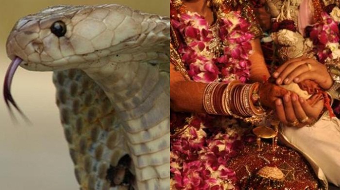 Qiz isterik Semiz qora tanli ayollar porno fotosuratlar