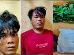 Agus-28-dan-Hasan-40-dua-sekawan-di-OKU-Timur-berkebun-ganja-di-belakang-rumah.jpg