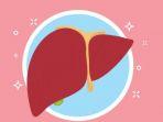 Apa-Itu-Hepatitis-Akut-dan-Gejala-Dialami-Penyakit-yang-Masih-Belum-Diketahui-Penyebabnya.jpg