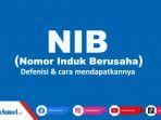 Apa-Itu-NIB-Penting-Untuk-Pelaku-Usaha.jpg