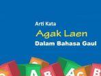 Arti-Agak-Laen-dalam-Bahasa-Gaul-Adalah-Apa-Banyak-Dipakai-Netizen-di-Berbagai-Media-Sosial.jpg