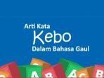 Arti-Kata-Kebo-dalam-Bahasa-Gaul-Jangan-Sampai-Salah-Paham.jpg