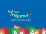 Arti-Kata-Ngawi-Adalah-Apa-Bahasa-Gaul-Viral-di-TikTok-Ini-Maksud-dan-Contohnya.jpg