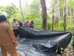 Berawal Dijemput Orang, Petani di OKU Timur Ditemukan Tewas Membusuk di Kebun, Sempat Hilang 2 Hari