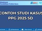 Contoh-Studi-Kasus-PPG-2025-SD-350-Kata.jpg