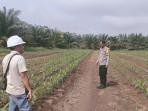 Dukung-Program-Ketahanan-Pangan-Nasional-Polsek-Sungai-Rotan-Cek-Jagung-di-Lahan-PT-R6B.jpg