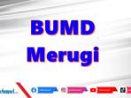 Ekonom-Sebut-Banyak-BUMD-di-Sumsel-Merugi-Karena-SDM-Sejumlah-Jabatan-Banyak-Diisi-Tim-Sukses.jpg