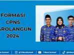 Formasi-CPNS-Sarolangun-2024-Pemkab-Sarolangun-Provinsi-Jambi.jpg