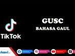 GUSC-Itu-Apa-Sih-Bahasa-Gaul-yang-Viral-di-TikTok.jpg