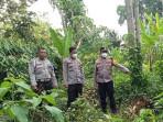 HEBOH-Warga-Temukan-Tulang-Belulang-Manusia-di-Kebun-Pisang-Kotaway-OKU-Selatan-Kondisi-Terpisah.jpg