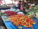 Harga-Cabai-Turun-Petani-di-Pagaralam-Pilih-Jual-Online.jpg