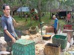 Harga-Karet-Hari-Minggu-29-Juni-2025-di-Kabupaten-OKU-Sumsel-Bervariasi-Rp11500Rp-13600Kg.jpg