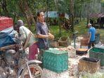 Harga-Karet-Hari-ini-di-Kabupaten-OKU-Turun-Jadi-Rp-12600-per-Kg.jpg