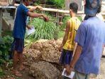 Harga-Karet-Hari-ini-di-Musi-Rawas-Membaik-11-November-2024-Naik-di-Tingkat-Pengepul-dan-Petani.jpg