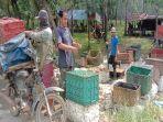 Harga-Karet-Hari-ini-di-Ogan-Komering-Ulu-Senin-9-Desember-2024-Stabil-di-Tingkat-Petani.jpg