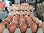 Harga Telur Ayam Ras Hari ini di Musi Rawas 26 Oktober 2025 Naik, Ada yang Jual Rp54 Ribu per Karpet