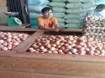 Harga-Telur-Hari-ini-di-OKU-Naik-Minggu-14-September-2025-Jadi-Rp-29-Ribu-per-Kg-di-Pasar.jpg
