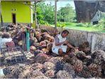 Harga-sawit-Palembang-harga-sawit-Musi-Rawas-hari-ini-Rp-1000-per-kg-Sabtu-392022.jpg