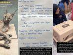 Heboh-Rachel-Vennya-Bongkar-Tabiat-Okin-ke-Hewan-Peliharaan-Tinggalkan-Kucing-Hutan-Sakit-di-Rumah.jpg
