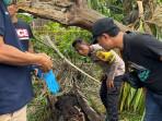 2 Tahun Menghilang, Identitas Kerangka Manusia Ditemukan di Pohon Aren Terkuak, Adik Korban Menangis
