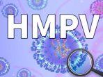 Ilustrasi-virus-HMPV.jpg