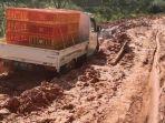 Jalan-Rusak-Parah-di-Karya-Jaya-Mesuji-Makmur-OKI.jpg