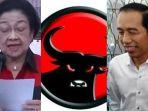 Jokowi-Ungkap-Nasibnya-di-PDIP-Setelah-Ngaku-Tak-Diundang-Pada-HUT-ke-51-PDIP-Bukan-Tak-Mau-Datang.jpg