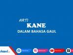 Kane-Adalah-Apa-Bahasa-Gaul-yang-Erat-Kaitannya-dengan-Kepuasan-Pahami-Artinya.jpg