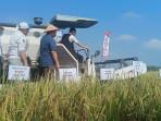 Surplus Beras  Sebesar 257.145 Ton,  Pemkab OKI Buka 11 Ribu Hektare Sawah Baru