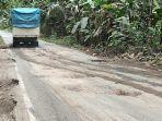 Kondisi-jalan-penghubung-Gumawang-dan-Simpang-Rasuan-di-OKU-Timur-yang-berlubang.jpg