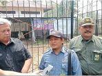 Konflik-gajah-liar-masuk-ke-permukiman-warga-terjadi-di-Kabupaten-Musi-Rawas-Sumsel.jpg