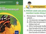 Kunci-Jawaban-Buku-IPA-Kelas-9-SMPMTs-Halaman-157-158-Kurikulum-2013-Uji-Kompetensi-Pilihan-Ganda.jpg