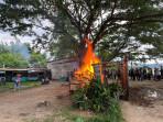 LIPSUS-Kafe-Remang-remang-Merajelela-di-Lahat-Perda-Bak-Macan-Ompong-Sering-Terjadi-Kekerasan.jpg