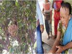 Lansia-65-tahun-penjual-peyek-keliling-di-Palembang-disengat-tawon-vespa.jpg