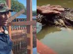 Masih-ingat-buaya-riska-kini-kabarnya-akan-kembali-ke-Bontang.jpg