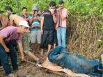 Mayat-Dikubur-di-Kebun-Karet-Bandar-Agung-Empat-Lawang.jpg