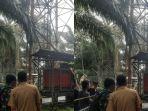 Mayat-Tersangkut-di-Pagar-Tower-BTS-Muba-Diduga-tersetrum-saat-mencuri.jpg