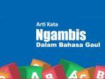Ngambis-Bahasa-Gaul-Artinya-Apa-Ini-Maksud-dan-Contoh-Kalimatnya.jpg