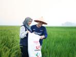 PUSRI-TEGASKAN-PENYALURAN-PUPUK-BERSUBSIDI.jpg