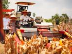 Panen-Raya-Jagung-Serentak-Kuartal-III-2025-yang-terpusat-di-Kab-OKU-Timur-Prov-Sumsel.jpg