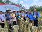 Para-pimpinan-unsur-Forkopimda-di-Ogan-Ilir-memamerkan-jagung-hasil-panen-raya.jpg