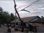 Patahan-dahan-berukuran-relatif-besar-tersangkut-di-kabel-berlokasi-di-Jalan-Puncak-Sekuning.jpg